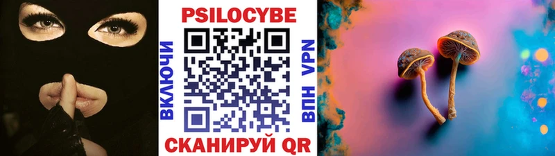 цена наркотик  Майкоп  Галлюциногенные грибы Psilocybine cubensis 