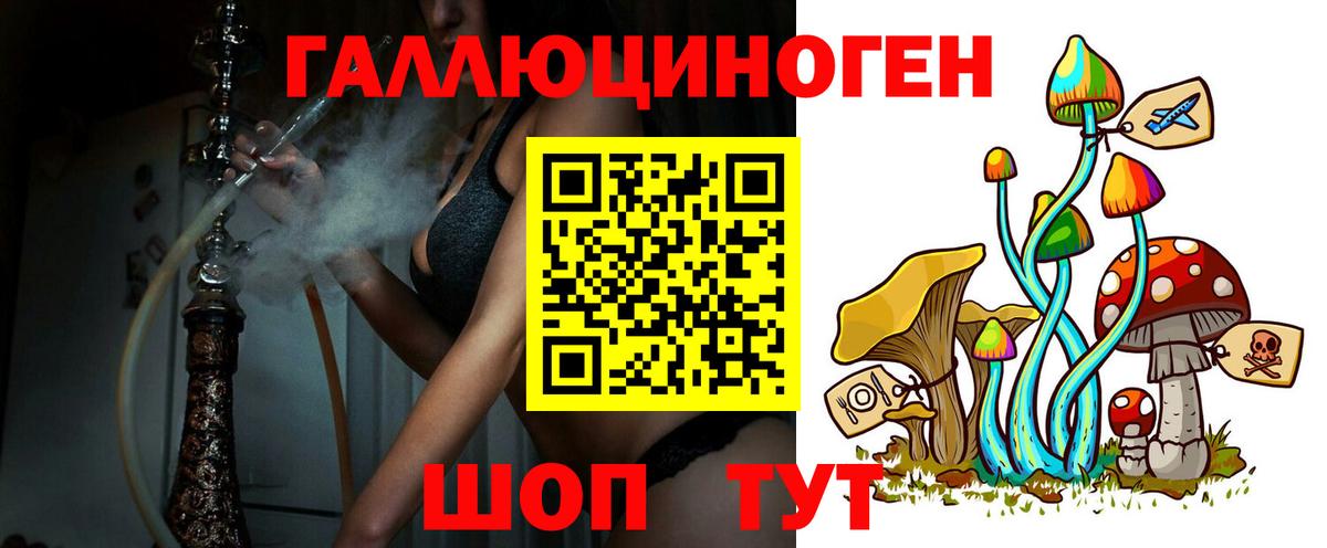 Псилоцибиновые грибы мухоморы Майкоп