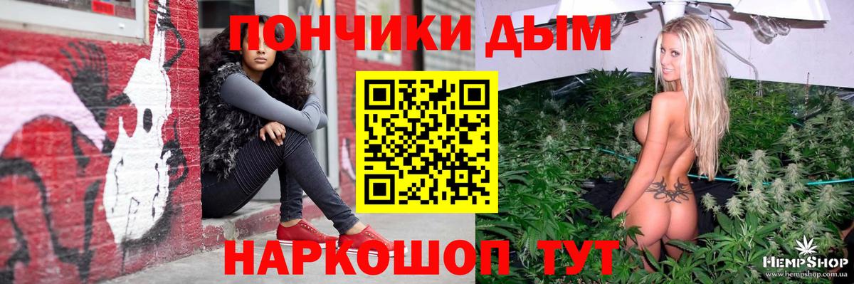 Бошки Шишки марихуана  Бошки Шишки план  Вход с VPN  Каннабис конопля  Майкоп 